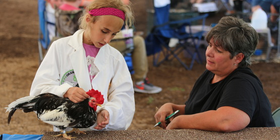 4-H Poultry Show