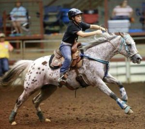 4-H Gymkhana