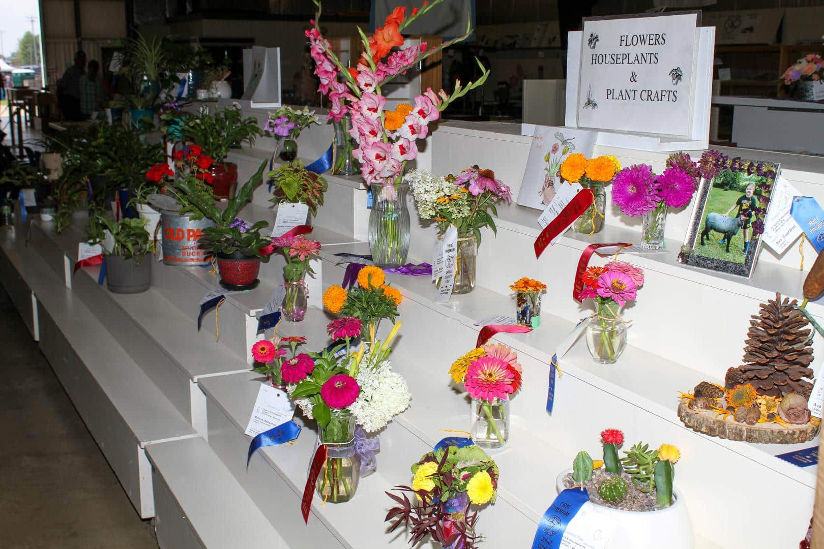 Flower judging