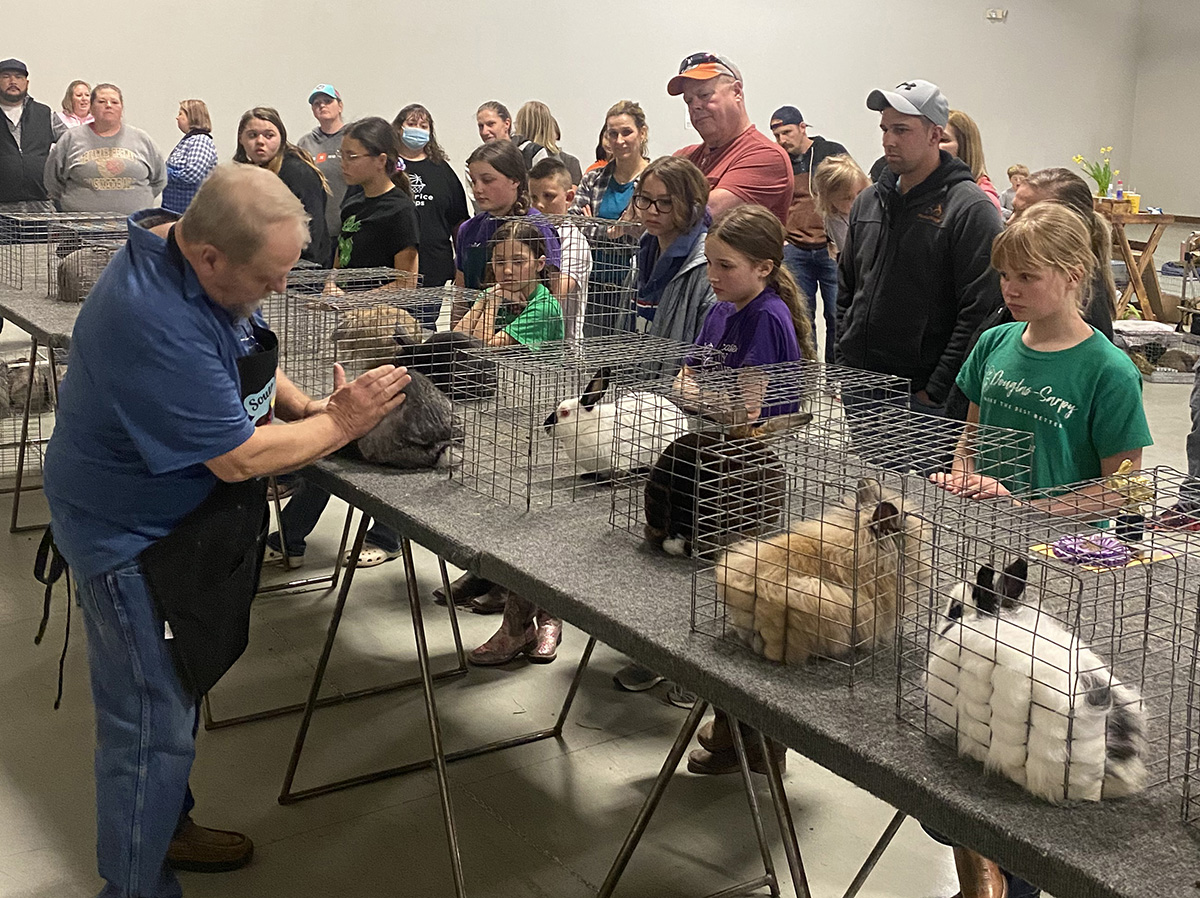 4-H Rabbit & Cavies Show