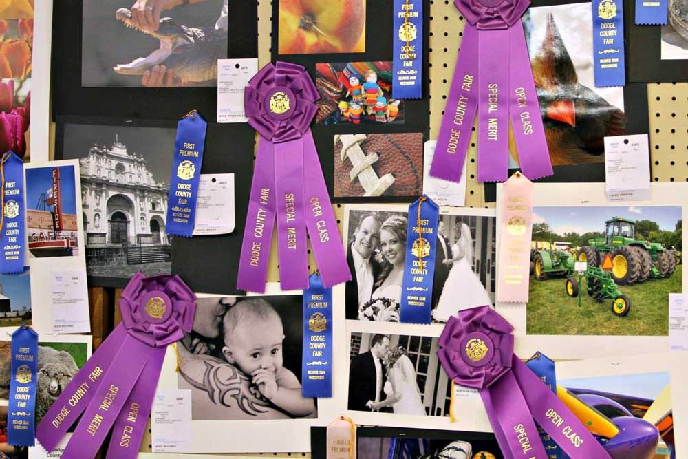 Art Judging