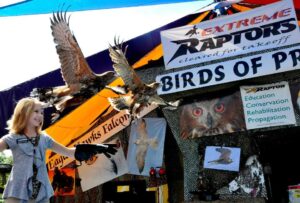 Extreme Raptors Hawks