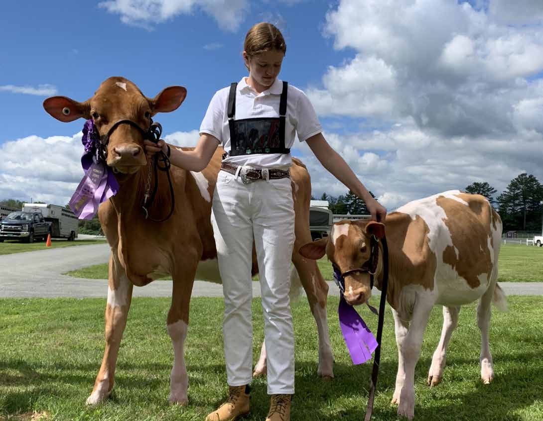 4-H champion livestock