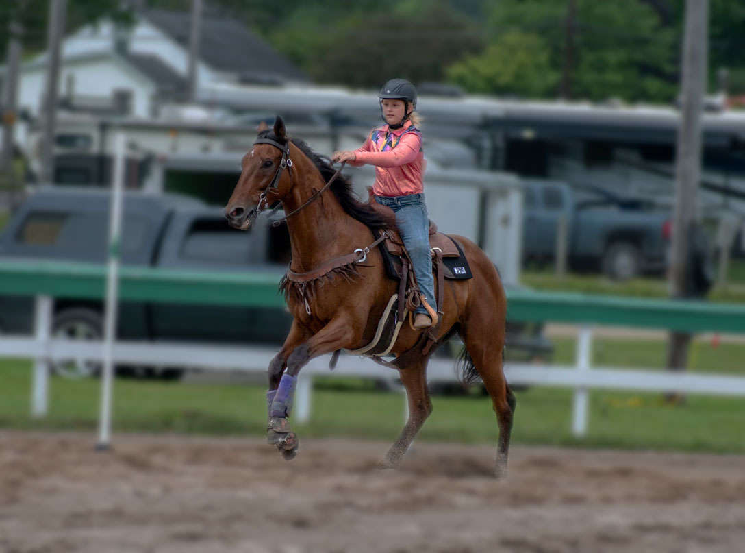 4-H gymkhana