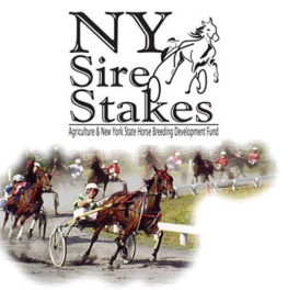 NY Sire Stakes Harness Racing